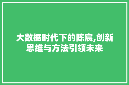 大数据时代下的陈宸,创新思维与方法引领未来 seo技术
