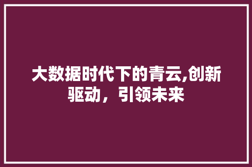 大数据时代下的青云,创新驱动，引领未来 网站优化