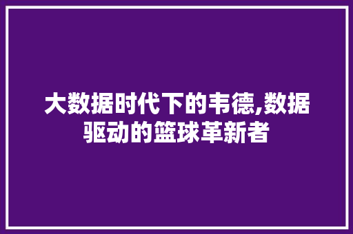 大数据时代下的韦德,数据驱动的篮球革新者 英文谷歌算法