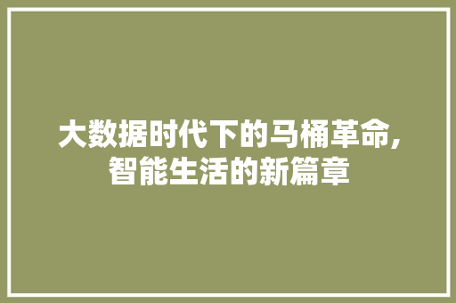 大数据时代下的马桶革命,智能生活的新篇章