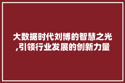 大数据时代刘博的智慧之光,引领行业发展的创新力量 头条优化