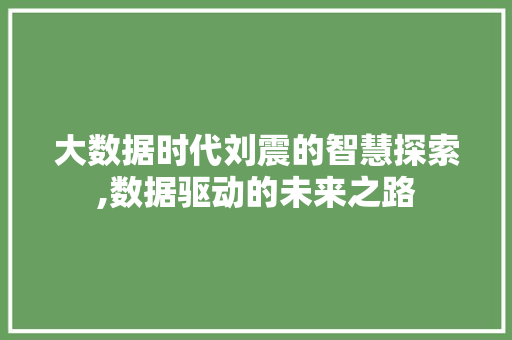 大数据时代刘震的智慧探索,数据驱动的未来之路 360搜优化
