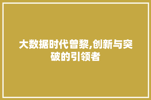 大数据时代曾黎,创新与突破的引领者 seo技术