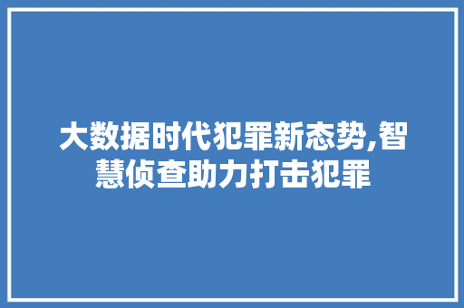 大数据时代犯罪新态势,智慧侦查助力打击犯罪