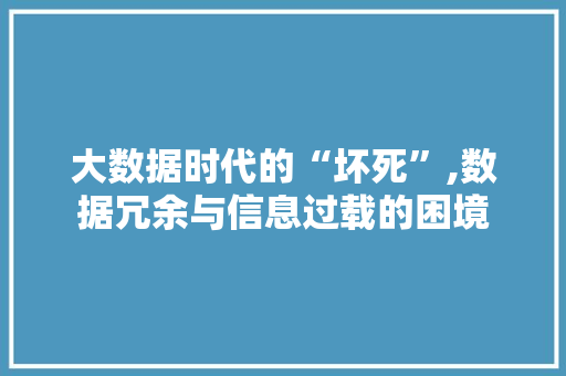 大数据时代的“坏死”,数据冗余与信息过载的困境 英文谷歌算法