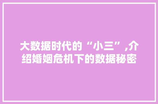 大数据时代的“小三”,介绍婚姻危机下的数据秘密
