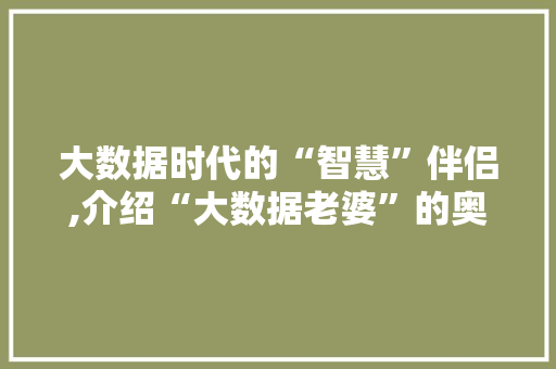 大数据时代的“智慧”伴侣,介绍“大数据老婆”的奥秘 seo技术