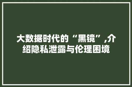 大数据时代的“黑镜”,介绍隐私泄露与伦理困境