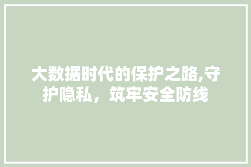 大数据时代的保护之路,守护隐私，筑牢安全防线 英文谷歌算法