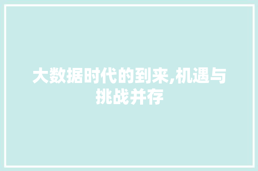 大数据时代的到来,机遇与挑战并存 网站优化
