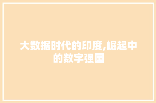 大数据时代的印度,崛起中的数字强国 头条优化