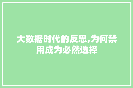大数据时代的反思,为何禁用成为必然选择