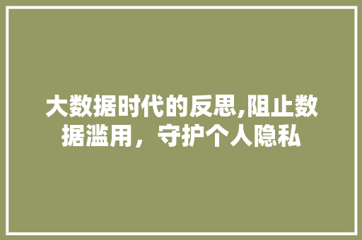 大数据时代的反思,阻止数据滥用，守护个人隐私