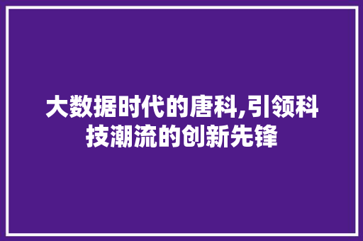 大数据时代的唐科,引领科技潮流的创新先锋 英文谷歌算法