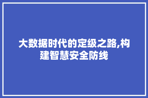 大数据时代的定级之路,构建智慧安全防线 360搜优化