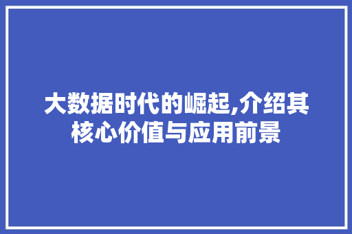 大数据时代的崛起,介绍其核心价值与应用前景