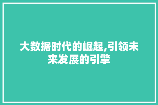 大数据时代的崛起,引领未来发展的引擎 头条优化