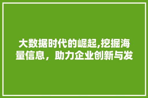 大数据时代的崛起,挖掘海量信息，助力企业创新与发展 百度算法