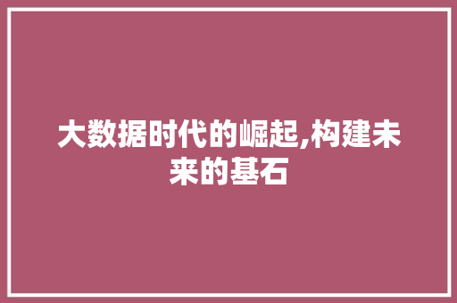 大数据时代的崛起,构建未来的基石