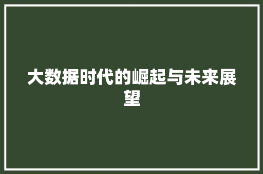 大数据时代的崛起与未来展望 搜狗优化