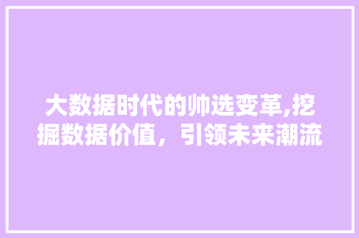 大数据时代的帅选变革,挖掘数据价值，引领未来潮流 seo技术