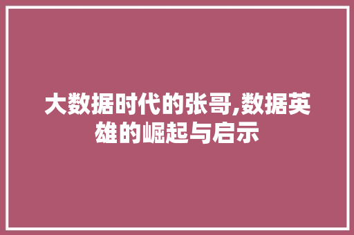 大数据时代的张哥,数据英雄的崛起与启示 网站开发