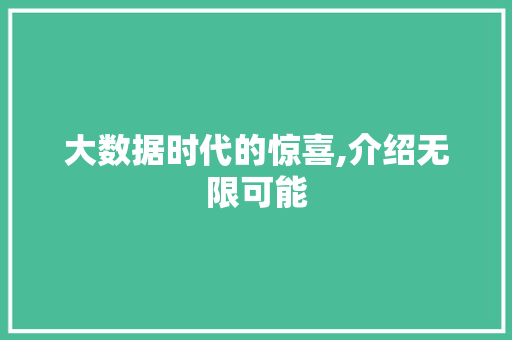 大数据时代的惊喜,介绍无限可能