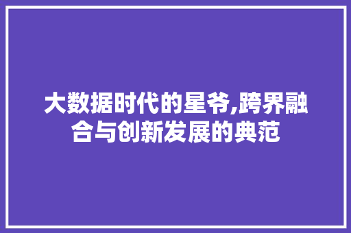 大数据时代的星爷,跨界融合与创新发展的典范 360搜优化
