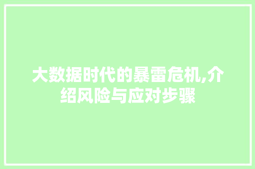 大数据时代的暴雷危机,介绍风险与应对步骤 小程序开发