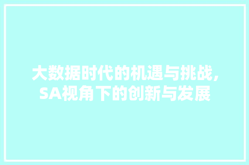 大数据时代的机遇与挑战,SA视角下的创新与发展 头条优化
