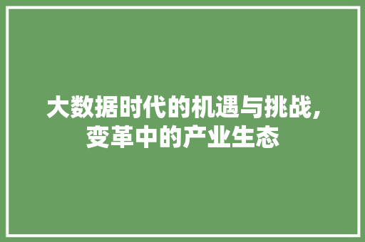 大数据时代的机遇与挑战,变革中的产业生态 seo技术