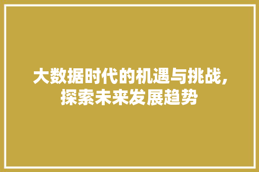 大数据时代的机遇与挑战,探索未来发展趋势 seo技术