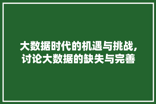 大数据时代的机遇与挑战,讨论大数据的缺失与完善 seo技术