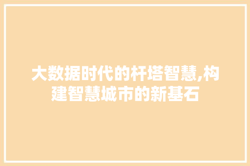 大数据时代的杆塔智慧,构建智慧城市的新基石 英文谷歌算法