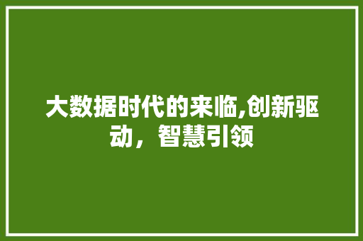 大数据时代的来临,创新驱动，智慧引领 英文谷歌算法