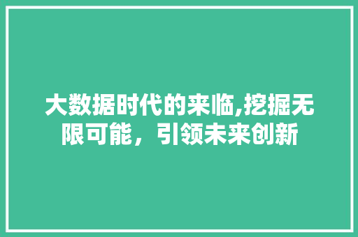 大数据时代的来临,挖掘无限可能，引领未来创新 seo技术