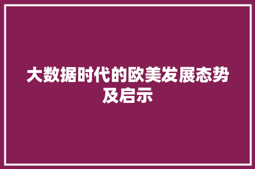 大数据时代的欧美发展态势及启示