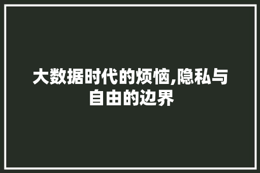 大数据时代的烦恼,隐私与自由的边界