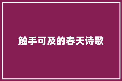 大数据时代的画卷,探索、挑战与未来 seo技术