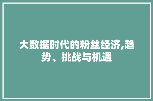 大数据时代的粉丝经济,趋势、挑战与机遇