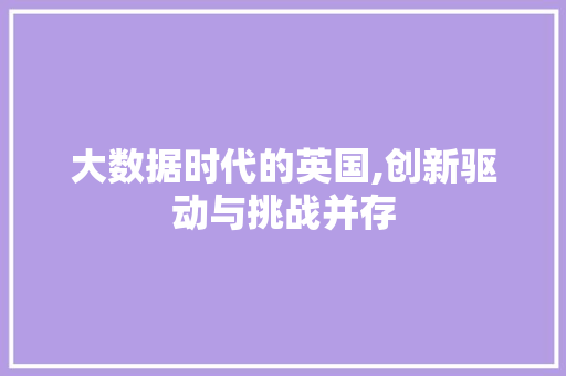 大数据时代的英国,创新驱动与挑战并存 网站开发