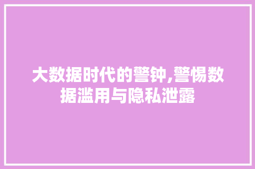 大数据时代的警钟,警惕数据滥用与隐私泄露