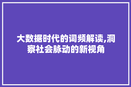 大数据时代的词频解读,洞察社会脉动的新视角