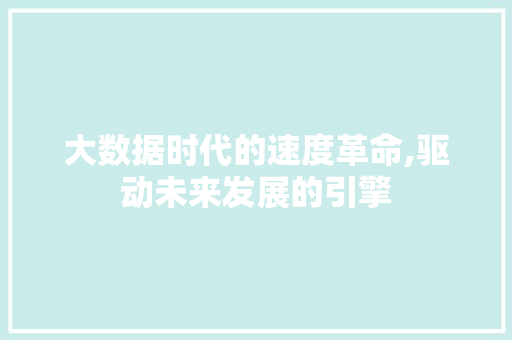 大数据时代的速度革命,驱动未来发展的引擎 seo技术