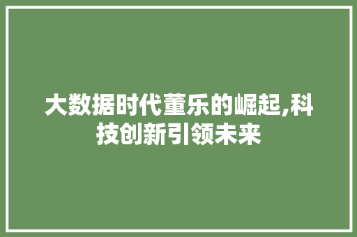 大数据时代董乐的崛起,科技创新引领未来 AI技术学习