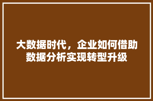 大数据时代，企业如何借助数据分析实现转型升级 seo技术