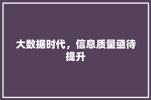 大数据时代，信息质量亟待提升 小程序开发