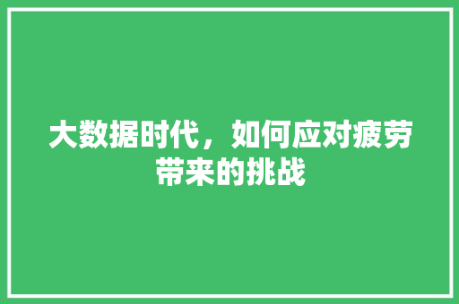 大数据时代，如何应对疲劳带来的挑战 seo技术