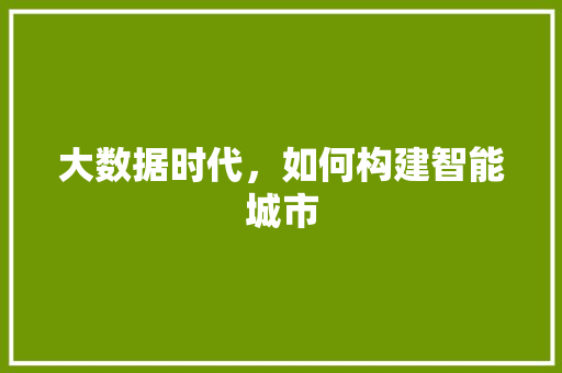 大数据时代，如何构建智能城市