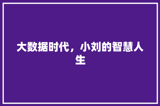 大数据时代，小刘的智慧人生 网站开发